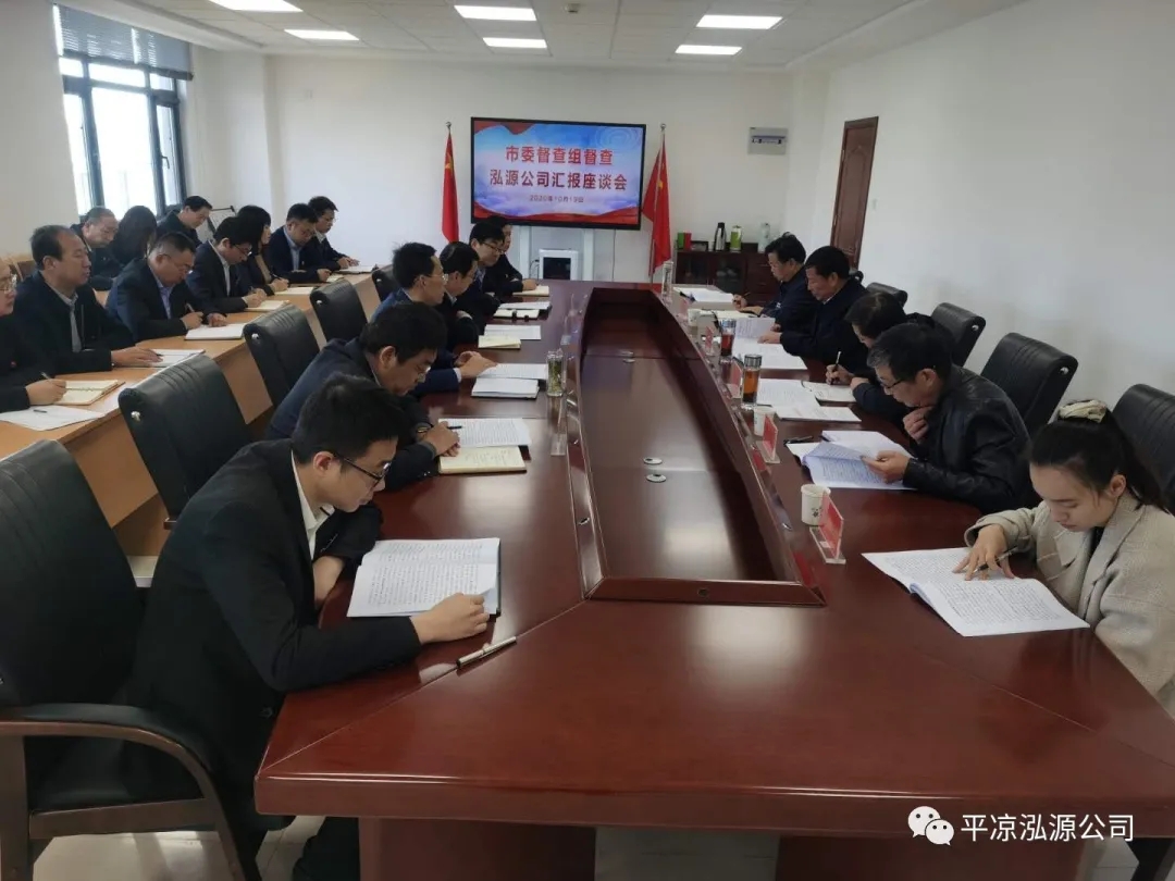 市委辦公室、市政府國資委督查泓源公司工作(圖4)